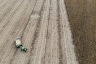 En el caso de la soja, en 2023/2024 la cosecha treparía de los 22 millones de toneladas a 48 millones de toneladas