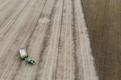 En conjunto, entre soja y maíz sin vender los productores tienen granos por más de US$10.000 millones