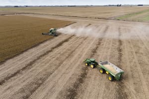 Financiamiento: qué puede hacer el agro ante la exclusión en un beneficio