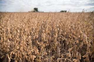 Impuestos. ¿Hay un momento oportuno para una venta?