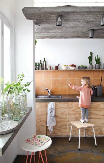 Cocina. Sobre un estante, el laboratorio de hidropónicas, parte del proceso para hacer esquejes, pero también se venden como colgantes. Sobre el estante alto, macetas con cactus y tres bowls ccon frutas, La Mofla. Repasador, Plain Textiles.