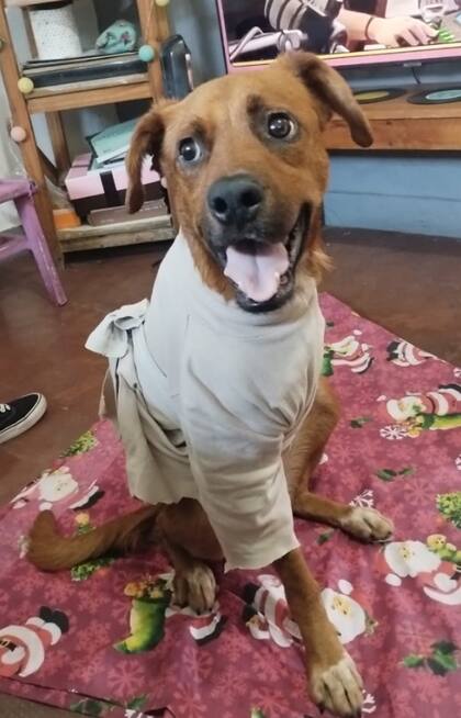 Coco recuperó las ganas de vivir y tiene una segunda oportunidad.