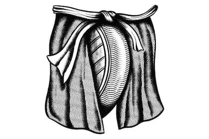 Codpiece, una ilustración de Loïc Lusnia