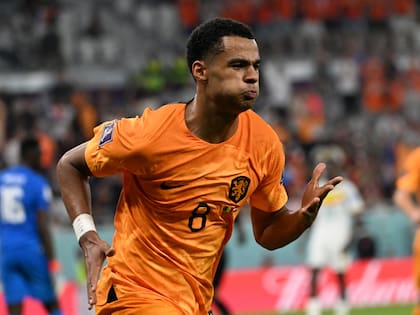 Cody Gakpo anotó en los tres primeros partidos de Países Bajos en el Mundial Qatar 2022