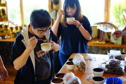 Coffea Diversa tiene una academia para estudiantes extranjeros de Estados Unidos, China y Japón, quienes llegan a conocer más de cerca el cultivo del café. 