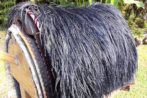 Rincón gaucho: auténticas piezas de colección para enjaezar caballos