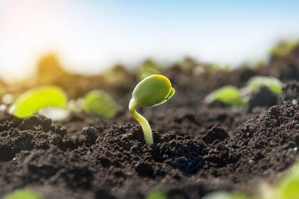 "Colaboramos con emprendedores que están desarrollando soluciones tecnológicas para optimizar el uso de recursos, mejorar la producción y enfrentar los desafíos del cambio climático en el campo”, dicen en la firma