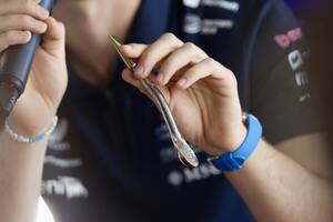 Colapinto muestra la bombilla a los periodistas, en la conferencia de prensa previa al Gran Premio de España, en Montmeló