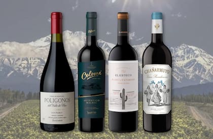 Colección Especial BONVIVIR - Vinos de Altura.