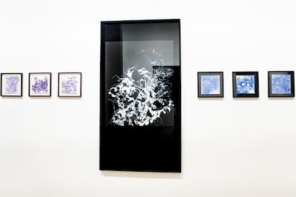 Colección Rivarola-El local