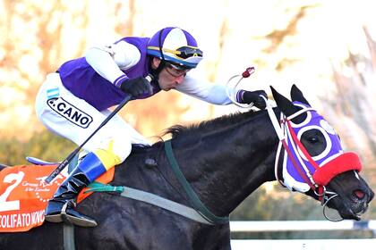 Triple Corona del turf: fue alumno de la jocketa argentina más ilustre y corre a Colifato Novo, el potrillo que le cambió la vida