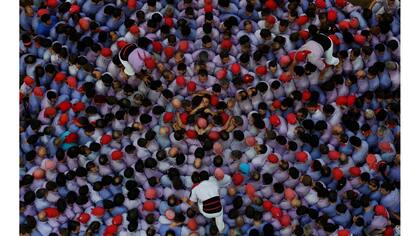 "Colla Jove Xiquets de Tarragona" empiezan a formar una torre humana