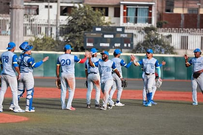 Colombia y Puerto Rico enfrentarán a equipos de la MLB en juegos de preparación (Instagram/@federacioncolombianabeisbol)