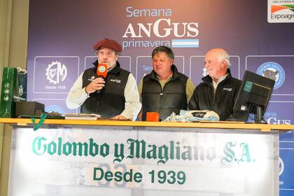 Colombo y Magliano vendió 8000 cabezas