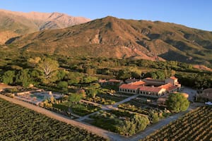 17 bodegas argentinas copan el ranking mundial de la revista Forbes