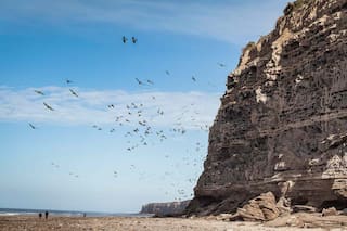 Las rutas por paisajes poco explorados de la Argentina que hay que recorrer una vez en la vida