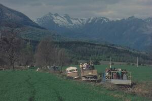 Colonia Dignidad narra la historia de Paul Schäfer, un alemán acusado de delitos sexuales, se escapa a Chile, donde funda junto con otros emigrados una colonia agrícola en una zona estéril y alejada del centro-sur del país