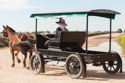 Colonia menonita en Guatraché.