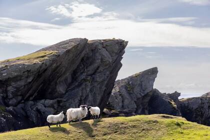 Colonsay es una isla ubicada en el noroeste de Escocia