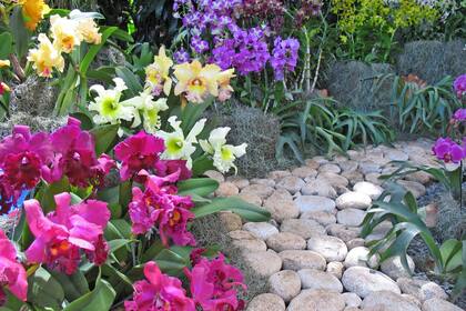 Colores y variedad en Colombia