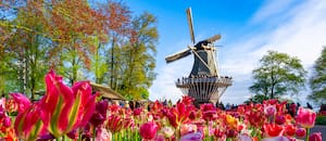 Un paseo por los jardines más lindos del mundo