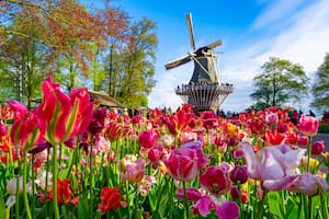 En este feriado de verano te sacamos a pasear por los jardines más lindos del mundo