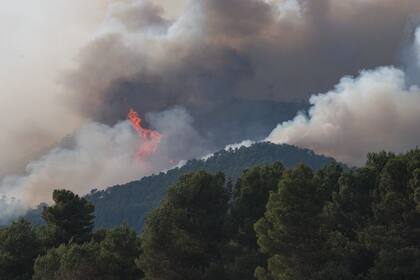 Columna de fuego y humo se eleva en el cielo desde el incendio en Santa Coloma de Queralt, en España