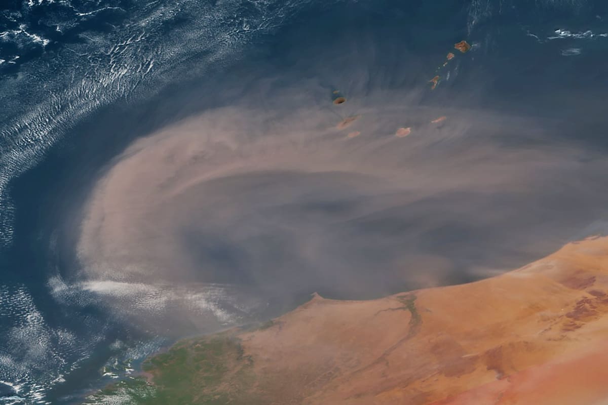 Alerta en Florida: El Polvo del Sahara Cubre el Estado, Afectando la Calidad del Aire y la Salud Respiratoria - Impacto Visible desde el Espacio