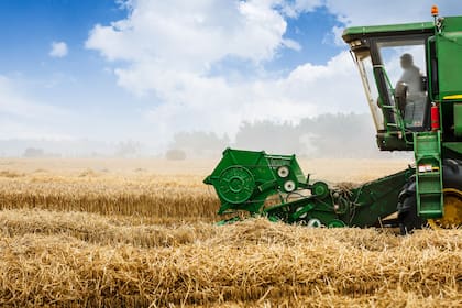 Ucrania y Rusia son grandes países productores de trigo.