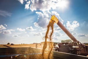 Fue récord la exportación de trigo de la Argentina y creció en mercados que atendían Rusia y Ucrania