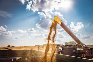 En Santa Fe alertan que “es gravísimo” el panorama que afronta el sector agropecuario