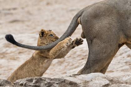 Hay que agarrar la vida por las ***