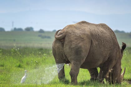 Propiedad privada, atención: avance bajo su propia responsabilidad