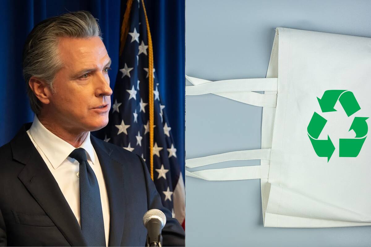 Newsom assinou em 2024, mas está entrando em vigor agora, uma lei da Califórnia que está mudando a forma como você faz compras. Newsom assinou em 2024, mas está entrando em vigor agora, uma lei da Califórnia que está mudando a forma como você faz compras.