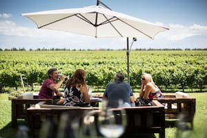 Comida al aire libre frente a los viñedos de la bodega Andeluna, en Gualtallary, un oasis de altura.