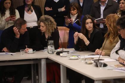 Comisión investigadora de diputados por la visita de algunos diputados al penal de Ezeiza. Diputada Lourdes Arrieta que estuvo en el penal de Ezeiza
