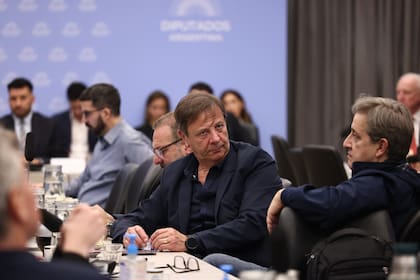 Comisión presupuesto en diputados. Preside Bertie Benegas Lynch