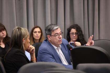 Comisión presupuesto en diputados. Preside Bertie Benegas Lynch