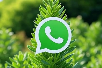 Cómo activar el "modo caña con ruda" de WhatsApp