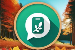 Cómo activar el "modo otoño" de WhatsApp para los fanáticos de esta estación del año