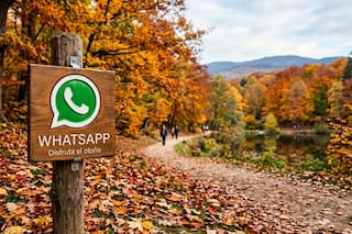 Así se puede activar el “modo otoño” en WhatsApp