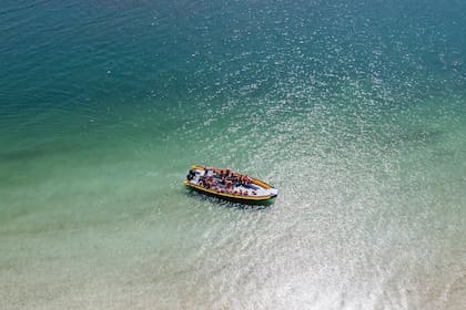 Como actividades dentro del balneario, podés tomarse un bote para recorrer la península Villarino y visitar el apostadero de los lobos marinos