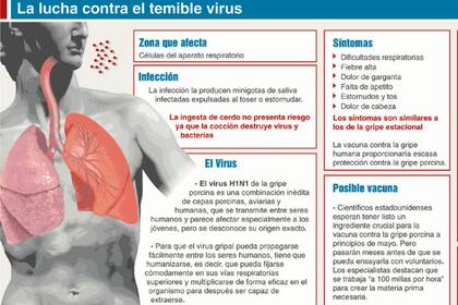 Cómo afecta el virus de la gripe A en el hombre