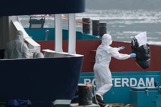 Cómo científicos sudafricanos identificaron el hantavirus en un crucero a miles de kilómetros