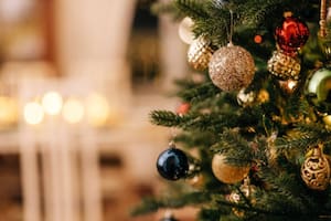 Cómo colocar y decorar el árbol de Navidad es importante para el Feng Shui (Foto: Pixabay)