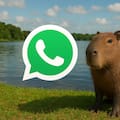 Cómo activar el “modo Capibara” en WhatsApp