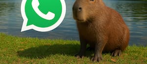 Cómo activar el “modo Capibara” en WhatsApp