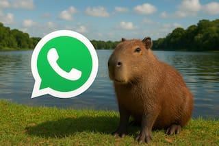 Cómo activar el “modo Capibara” en WhatsApp