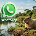 Cómo activar el “modo capibara” en WhatsApp en abril