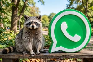 Cómo activar el "modo mapache" de WhatsApp
